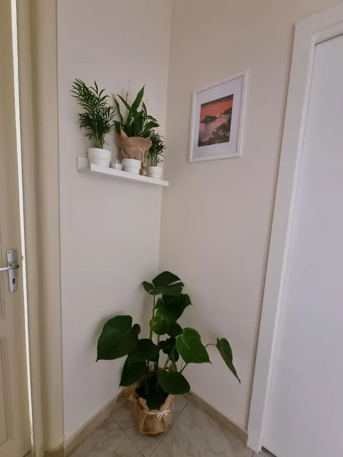 Etna Ocean Rooms Catania Guest house